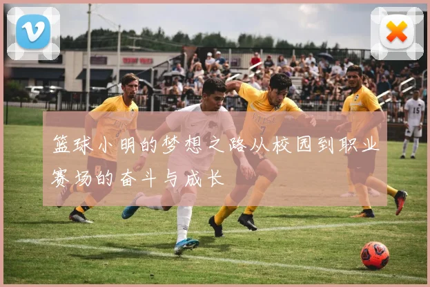 篮球小明的梦想之路从校园到职业赛场的奋斗与成长