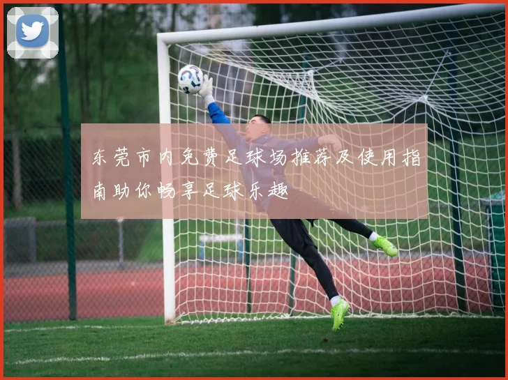 东莞市内免费足球场推荐及使用指南助你畅享足球乐趣