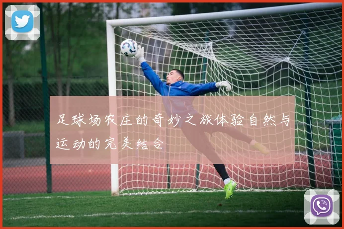 足球场农庄的奇妙之旅体验自然与运动的完美结合