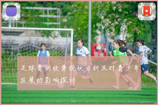 足球青训收费现状分析及对青少年发展的影响探讨