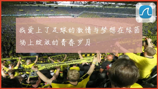 我爱上了足球的激情与梦想在绿茵场上绽放的青春岁月