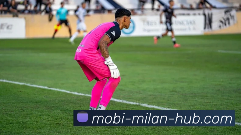 米兰体育平台生态图